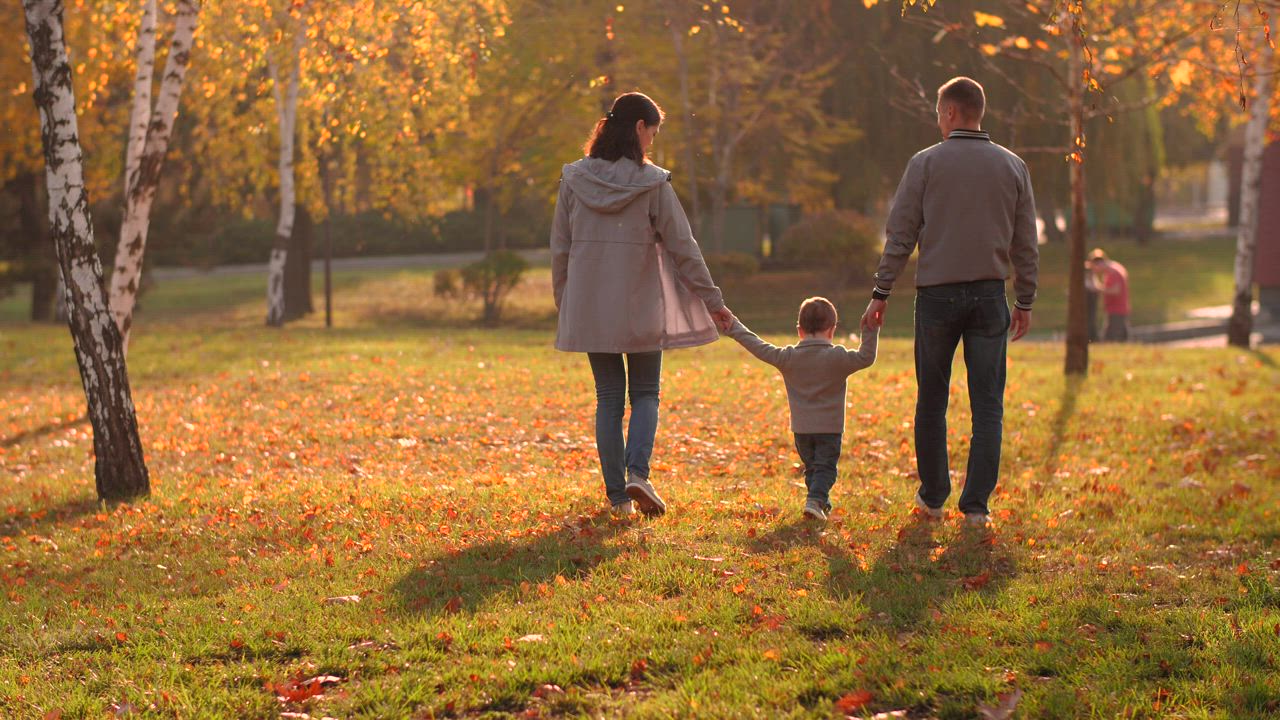 A family walking together in a park